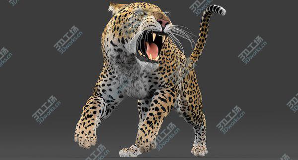 images/goods_img/20210312/3D Leopard (Animated-Rigged-Fur) model/2.jpg